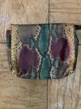 Snake-Print Crossbody Bag in Green and Burgundy